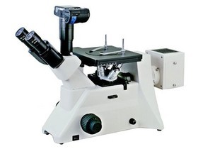 �����@΢�RMDS