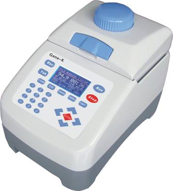 ��(g��)��PCR