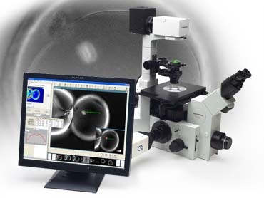 Oosight��������-���N�w�^�y(c��)�x