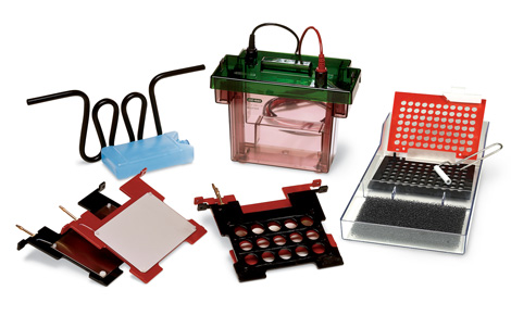 Criterion™ �D(zhu��n)ӡ�O(sh��)��